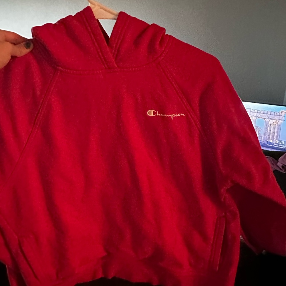 Champion sweater